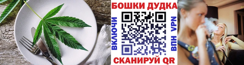 kraken   Салават  Canna-Cookies конопля 