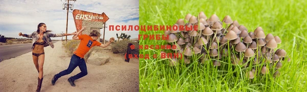 COCAINE Заводоуковск