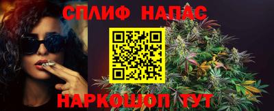 стафф Абакан