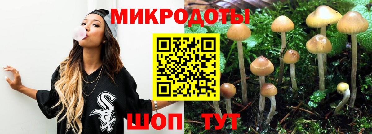 Псилоцибиновые грибы MAGIC MUSHROOMS  Вход с VPN  Галлюциногенные грибы мицелий  Салават 
